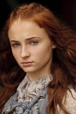 Queen sansa stark on Craiyon