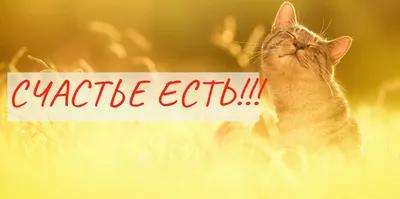 Счастье есть - Счастье есть added a new photo.