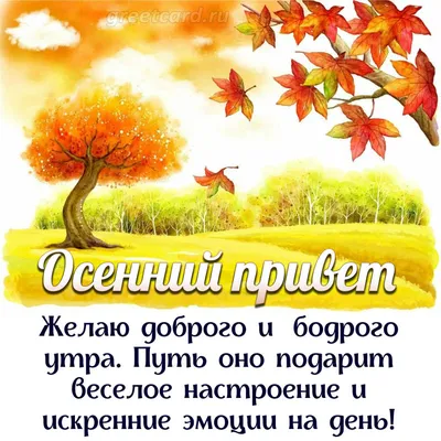 🌞 С добрым осенним утром! 🍁 | Поздравления, пожелания, открытки с Новым  годом! | ВКонтакте