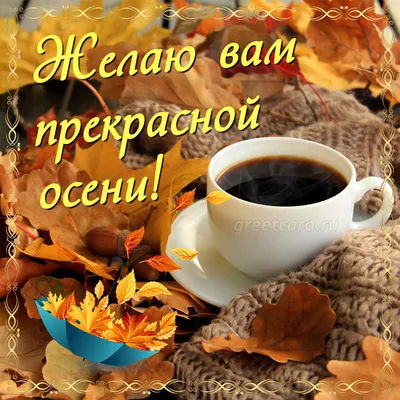 🌄💥🍁С добрым осенним утром, друзья! 🍁☕🍫Уютной, прекрасной субботы!  🌞🌁🌼Новых радостных эмоций и впечатлений, вам! Храни вас, Бог!  🌄💥🍁🌏🏞💒🙏… | Instagram