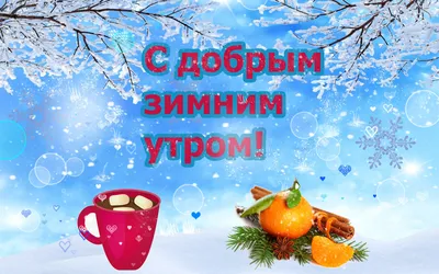 ❄️ С Добрым Зимним Утром, Губкин!❄️ — Teletype