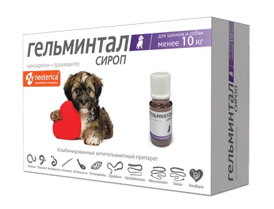 Pedigree влажный корм для щенков от 1 месяца с говядиной в соусе, в паучах  - 85 г х 28 шт - купить в Москве | КотМатрос