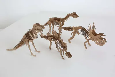 Сборная модель 1TOY 3DINO LUMINUS люминисцентный скелет динозавра купить по  цене 216 ₽ в интернет-магазине Детский мир