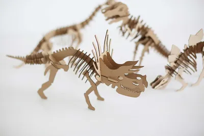 Скелет динозавра над белым изолированным фоном | Премиум Фото