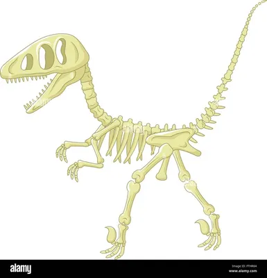 Sagit Digging набор скелетов динозавров, игрушка для копания динозавров,  образовательная реализация – лучшие товары в онлайн-магазине Джум Гик