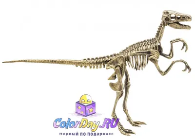 Декор Скелет динозавра, 19*9 см купить по доступной цене на сайте Лавка  Кипера