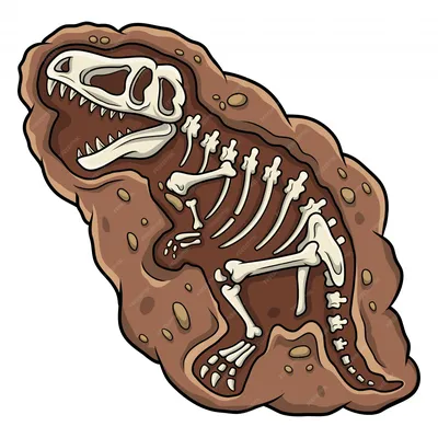 Скелет динозавра из конструктора на черном фоне Photos | Adobe Stock