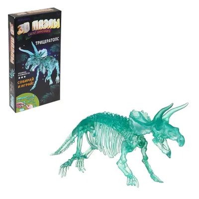 Забавный флуоресцентный динозавр, модель человеческого скелета, собранный  череп, игрушка-антистресс, кости динозавра, светящиеся в темноте игрушки |  AliExpress