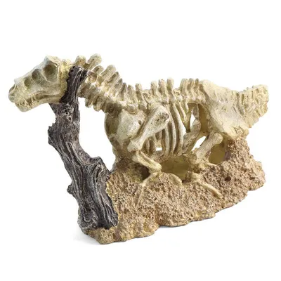 Раскопки для мальчиков \"Эра динозавров\", фигурки-игрушки скелет динозавра и  цветные камни. Опыты и эксперименты для детей Бумбарам - купить с доставкой  по выгодным ценам в интернет-магазине OZON (523732872)