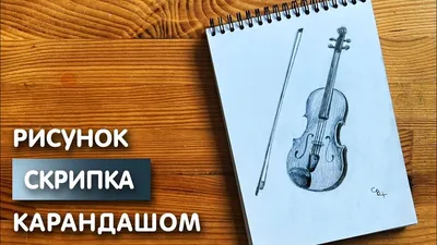 скрипки оптом | Музыкальная фабрика «Ариоза»