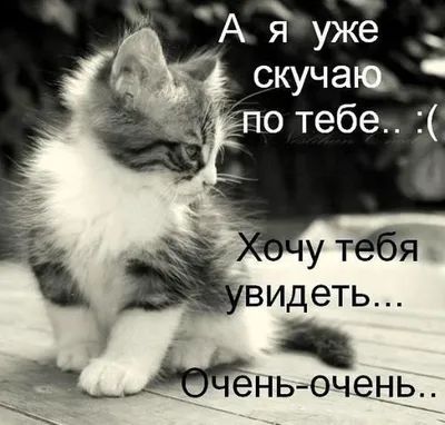 Что отправить любимому по мессенджеру — какие романтические слова написать  любимому — яркие картинки на украинском — жду, скучаю, хочу к тебе