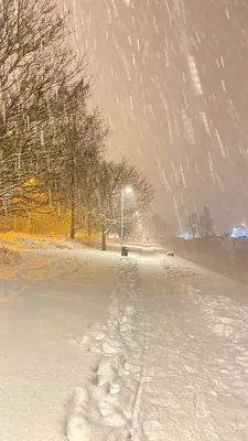 Первый снег пошёл, первый снег на…» — создано в Шедевруме