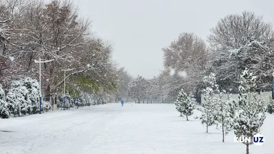 Когда выпадет первый снег в Москве