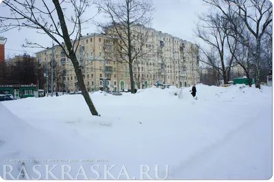 Наступила долгая осень. Осень всегда долгая. Лето – яркое. Зима – снежная.  Весна – пробуждающая. И только осень тянется серыми днями… | Instagram