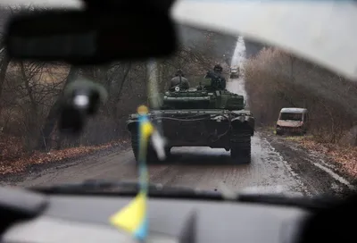 Эдгард Запашный заступился за замерзающих под Челябинском львов