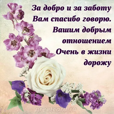 Азия-Плюс - Друзья, сегодня отмечается Международный день «спасибо» 🙏.  Отметьте под этим постом людей, кому вы от всей души хотите сказать это  волшебное слово СПАСИБО, и расскажите за что вы их благодарите