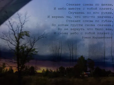 100 лучших цитат о любви: слова и чувства из самого сердца | Литрес | Дзен