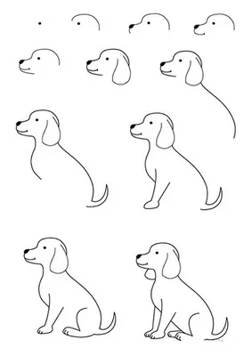 Рисунки для срисовки легкие собачки - 46 фото