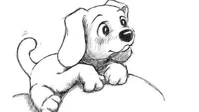 Рисунок собаки для детей поэтапно легкие (49 фото) » рисунки для срисовки  на Газ-квас.ком