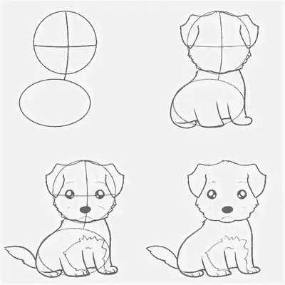 Рисунок собаки карандашом для срисовки - 70 фото