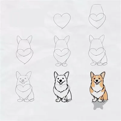 Картинки собак для срисовки карандашом