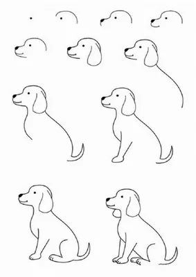 Картинки собак для срисовки - Рисуем легко и просто!