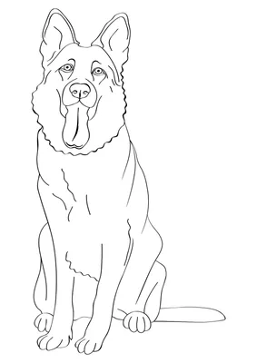Приспособления для рисования собак для мальчиков, легко печатать,  стирающиеся наклейки «сделай сам», Переводные нашивки «сделай сам»,  Экологически чистая аппликация | AliExpress