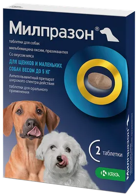 Какой корм лучше для щенков 🐶: выбор корма для щенка - ProPlan.ru