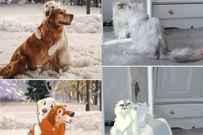 Вся правда о жизни собачьей: 10 очаровательных псов из фильмов и  мультфильмов