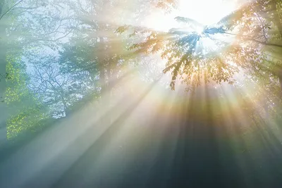 голубое небо с облаками и солнцем с лучами света Стоковое Фото -  изображение насчитывающей место, природа: 113436978