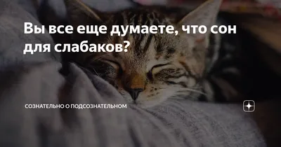 Кружка \"Сон для слабаков\" — купить в интернет-магазине по низкой цене на  Яндекс Маркете