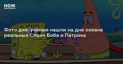 Глубоководный аппарат заметил «Спанч Боба» и «Патрика» на дне океана -  Лайфхакер