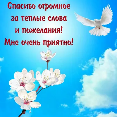 Открытка с именем Ольга Спасибо за поздравления. Открытки на каждый день с  именами и пожеланиями.