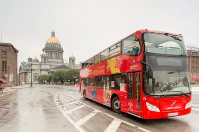 День города Санкт-Петербурга — 2023: когда отмечается, программа  мероприятий | РБК Life