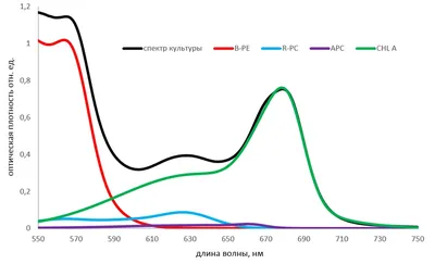 Система регистрации спектров фотолюминесценции