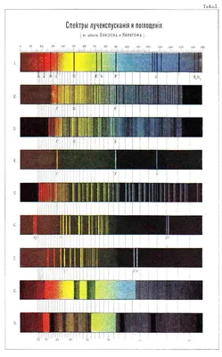 3.23] Спектры билд на Некроманта PoE, Заклятие | RaidLeader
