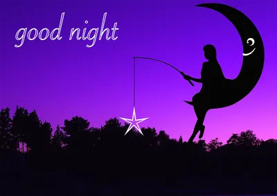 Good Night Hd Transparent, Greeting Good Night In French Style, Bonne Nuit  Hand Lettering With Moon And Shimerinh Star Decoration, Greeting, French  Style PNG Image For Free Download