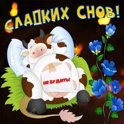 Всем спокойной ночи) #юмор #живём_в_Нижнем_Новгороде #Нижний_Новгород  #НижнийНовгород #вНижнем | Instagram