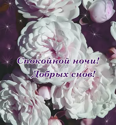 Спокойной ночи | Facebook