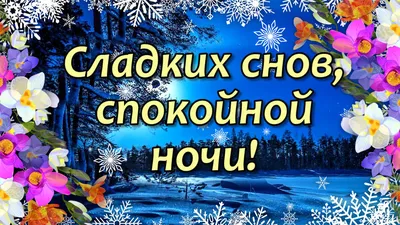 Спокойной ночи картинки - как пожелать сладких снов — УНИАН