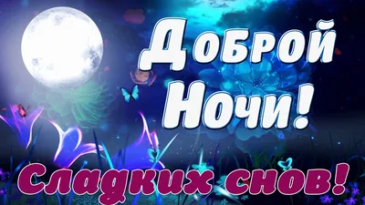 Спокойной ночи!🌃 Сладких снов! 🥱😴😘😘😘❤#спокойнойночи #сладкихснов... |  TikTok