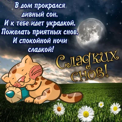 Красивые картинки \"Спокойной ночи!\" 🌠🌙 (120 шт.) | Сонные цитаты, Ночь, Спокойной  ночи