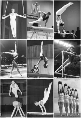 Дисциплины | Федерация спортивной гимнастики России