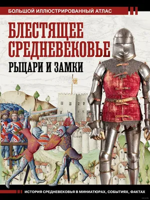 СРЕДНЕВЕКОВЬЕ В ЮБКЕ. ЖЕНЩИНЫ ЭПОХИ СРЕДНЕВЕКОВЬЯ: СТЕРЕОТИПЫ И ФАКТЫ | eBay