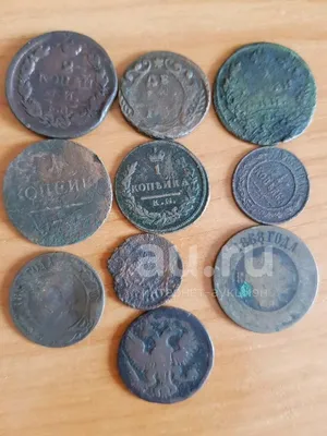 Уникальную коллекцию старинных монет обнаружили псковские археологи