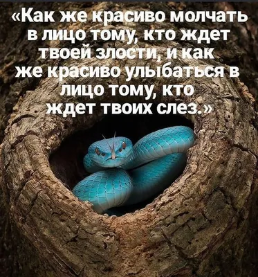 Статусы со смыслом added a new photo. - Статусы со смыслом