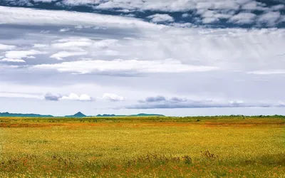 Курайская степь, Алтай – фото, на карте, достопримечательности, погода, как  добраться