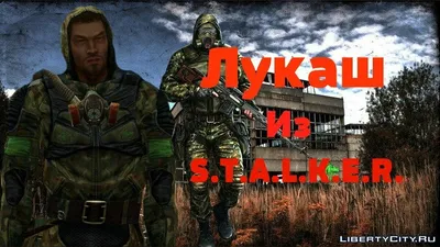 Stalker, боец Свободы | Пикабу