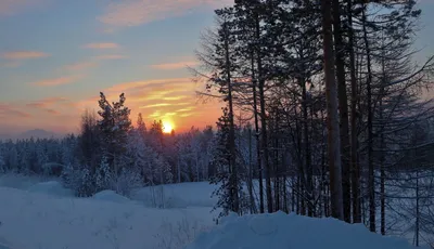 Река в тайге на севере России. Природа тайги в горной местности Стоковое  Изображение - изображение насчитывающей русско, река: 198517433