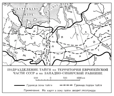 Лес Тайга - красивые фото